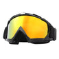 Windproof Ski Goggles