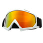 Windproof Ski Goggles